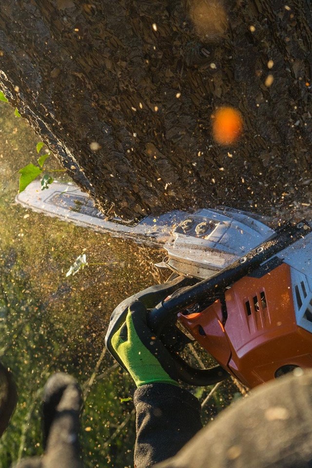 Expertos en servicios agrarios y forestales en Oroso