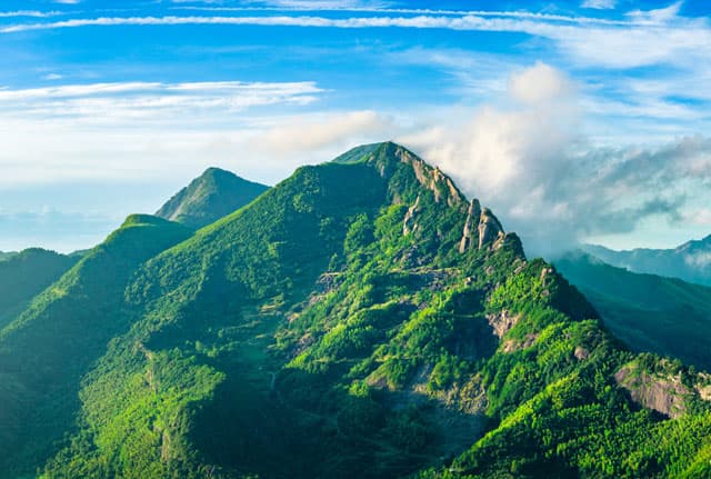 Últimas novedades de Officia CFC Servicios, S.L.