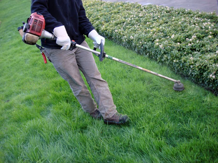 Desbroce de fincas en Oroso