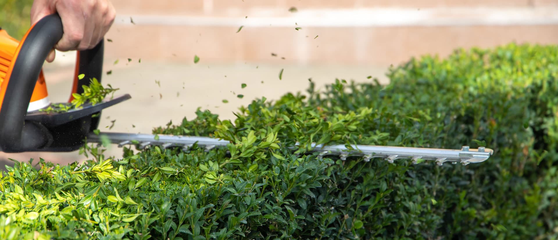 Servicios agrarios en Oroso