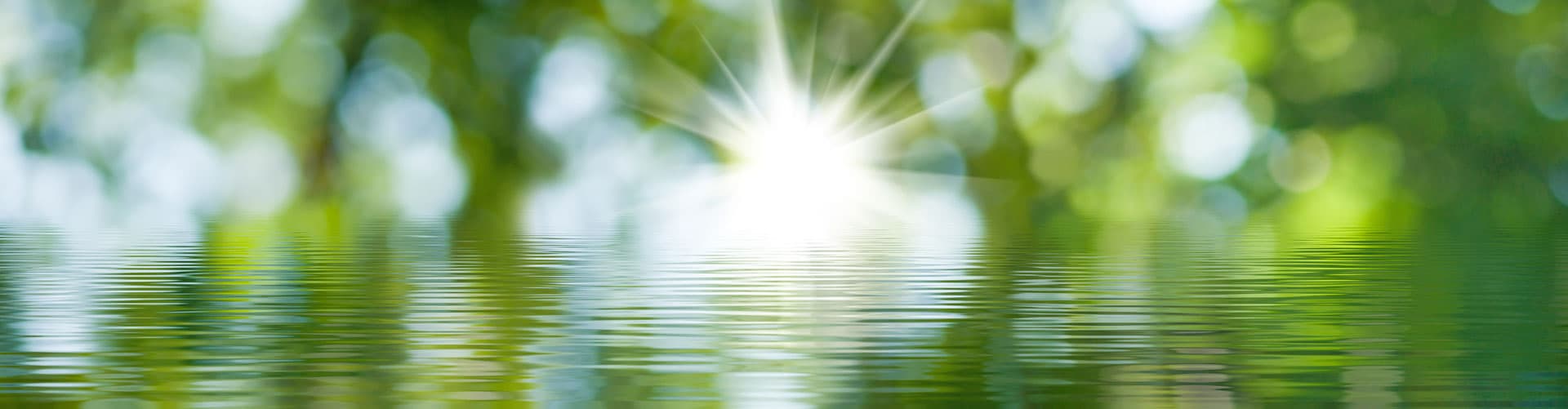 Empresa de trabajos forestales en Oroso